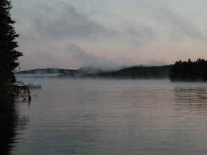 Aylen Fog 2002 zzz.JPG (763749 bytes)